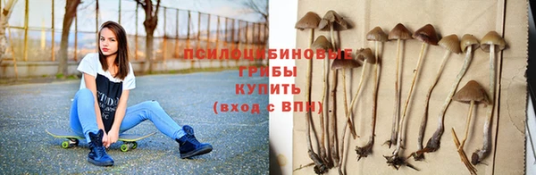 соль курить ск Алексин