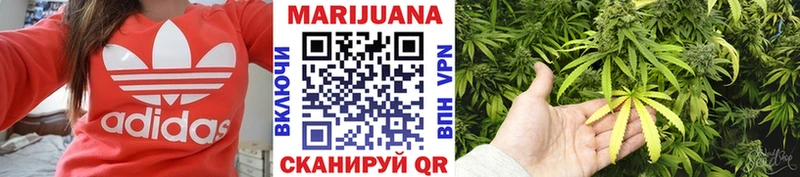 блэк спрут   Липки  Конопля сатива 